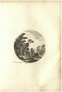 Vol.%20Z%20132%2C%20tav.%208